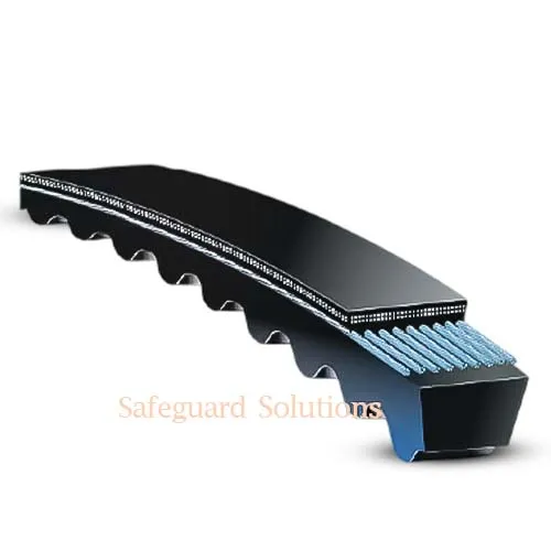 V Belt